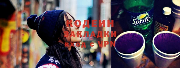 прущие грибы Алзамай