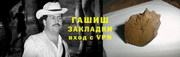 прущие грибы Алзамай