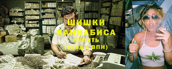 ГАЛЛЮЦИНОГЕННЫЕ ГРИБЫ Алексеевка