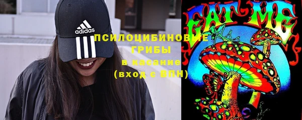 ПСИЛОЦИБИНОВЫЕ ГРИБЫ Алексин