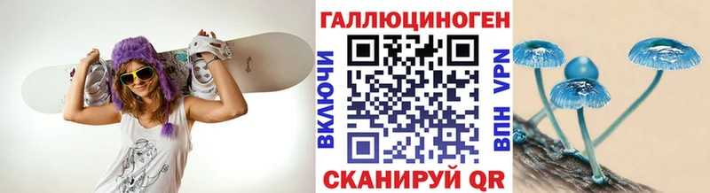 Псилоцибиновые грибы Cubensis  Куйбышев 